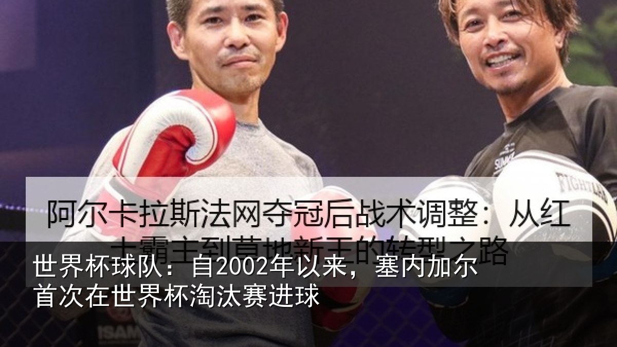 世界杯球队：自2002年以来，塞内加尔首次在世界杯淘汰赛进球