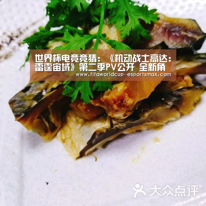 世界杯高清直播