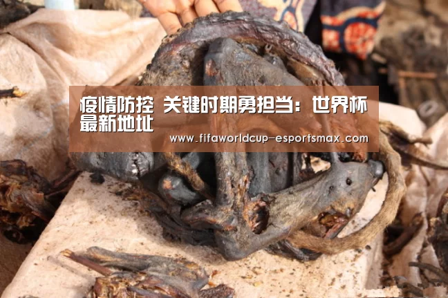 世界杯高清直播