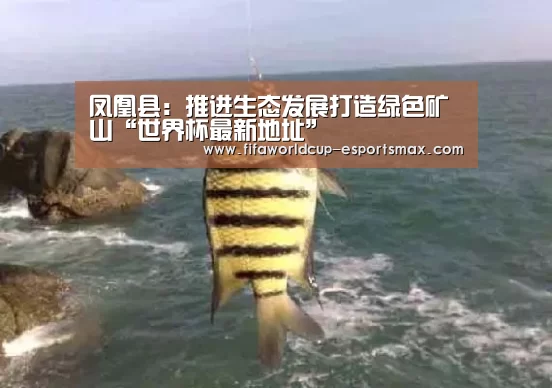 凤凰县：推进生态发展打造绿色矿山“世界杯最新地址”