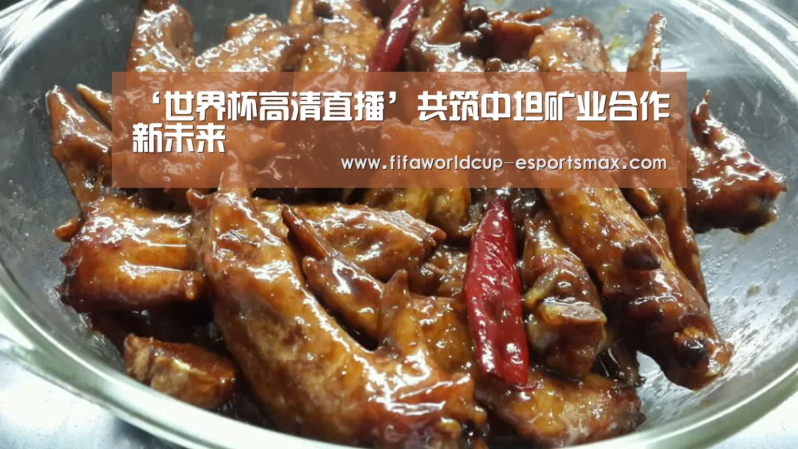 ‘世界杯高清直播’共筑中坦矿业合作新未来(图3) 世界杯最新地址